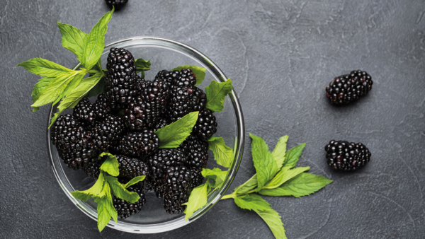 Brombeeren